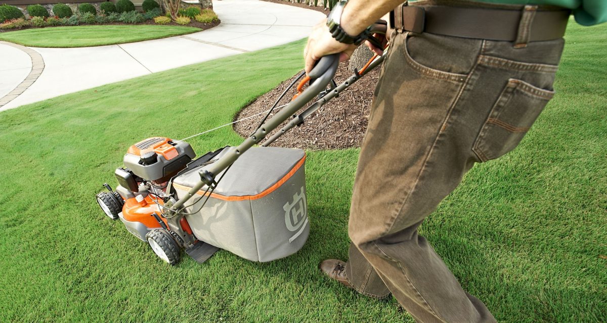 garden-gdafe2312d_1920