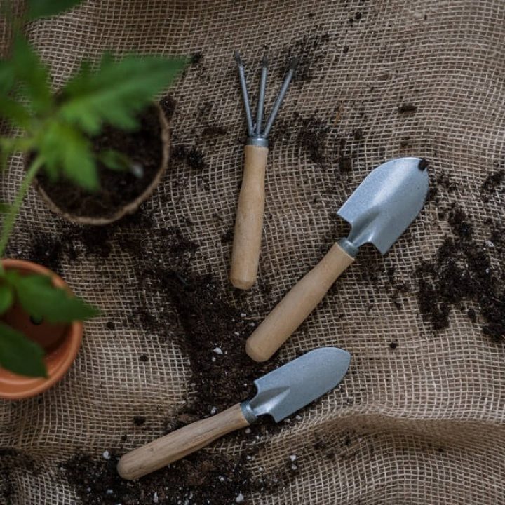 Outils de jardinage Background of fourth container to the services pages.
